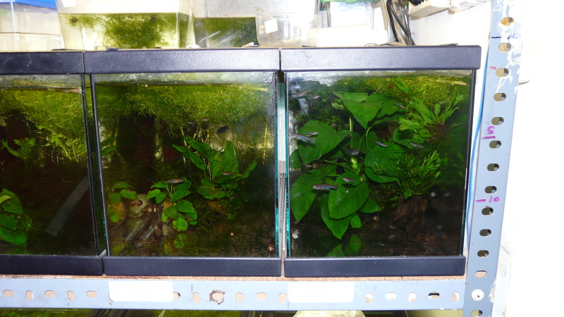 Instalaciones Angelo Barbero