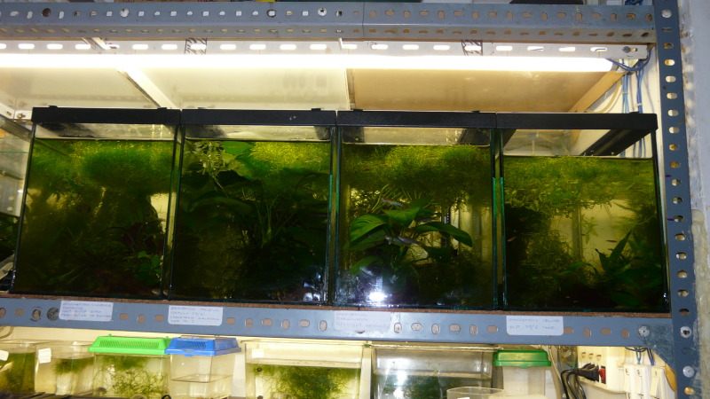 Instalaciones Angelo Barbero