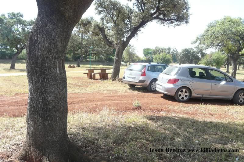 Barbacoa killifila 2011