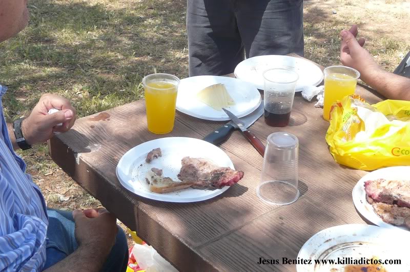 Barbacoa killifila 2011