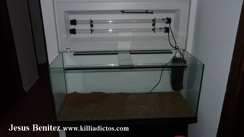 Mi acuario de 160 litros