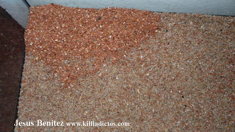 Mi acuario de 160 litros