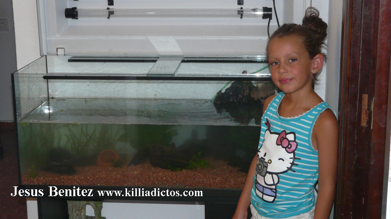 Mi acuario de 160 litros