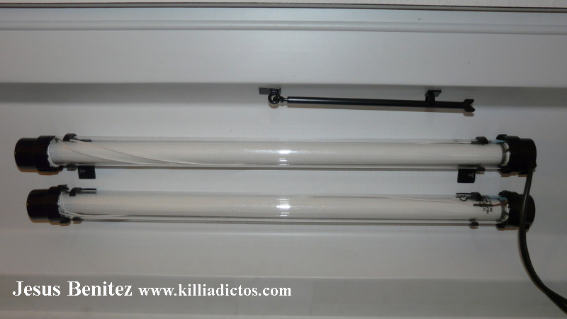 Mi acuario de 160 litros