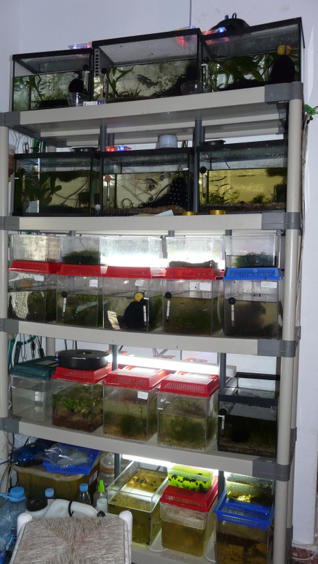 Vista frontal del mueble