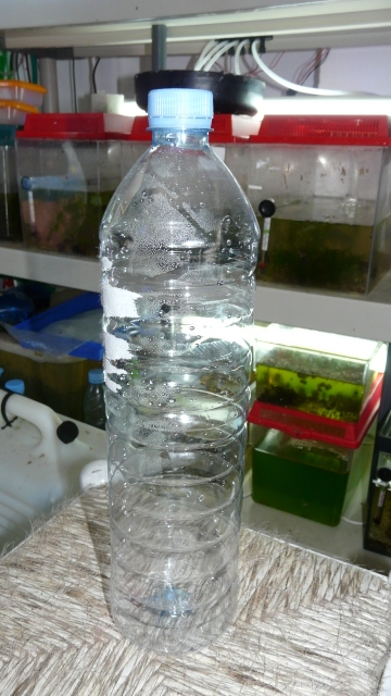 una botella de 1,5 litros