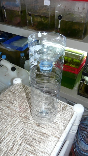 una botella de 1,5 litros